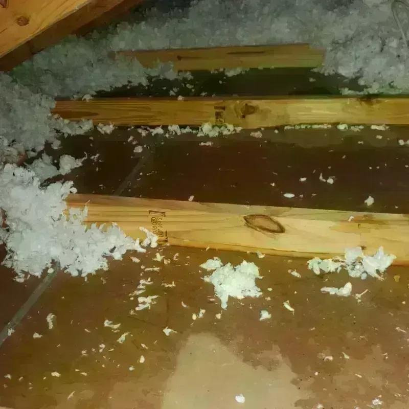 Attic Water Damage in Klamath County, OR