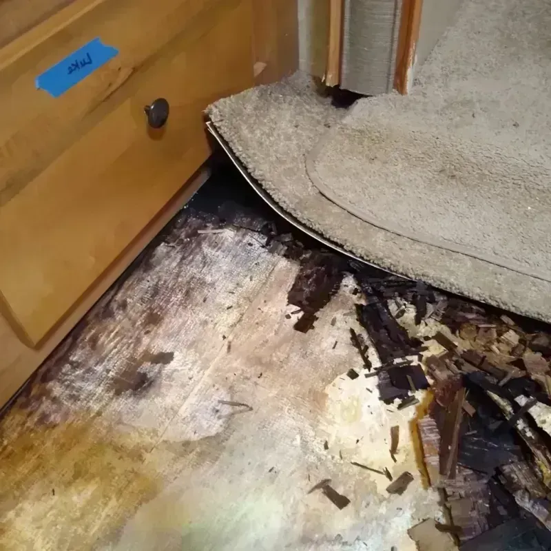 Wood Floor Water Damage in Klamath County, OR